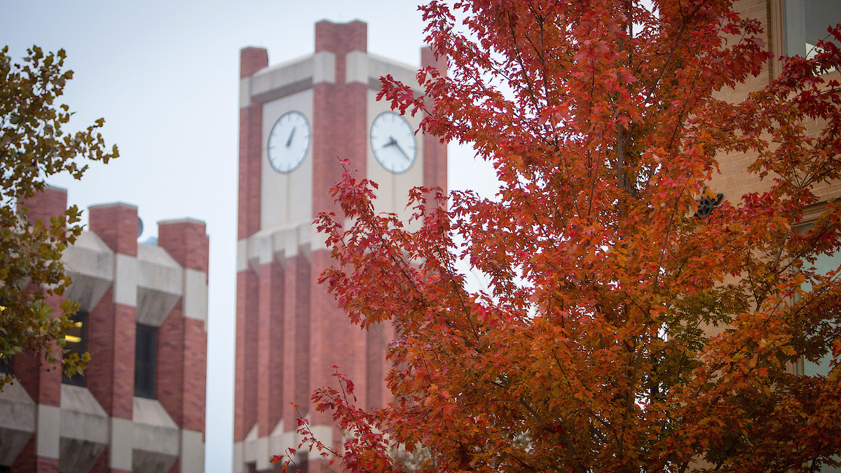 Bizzell's clock tower behind a fall tree